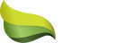 Sołectwo Łężyce